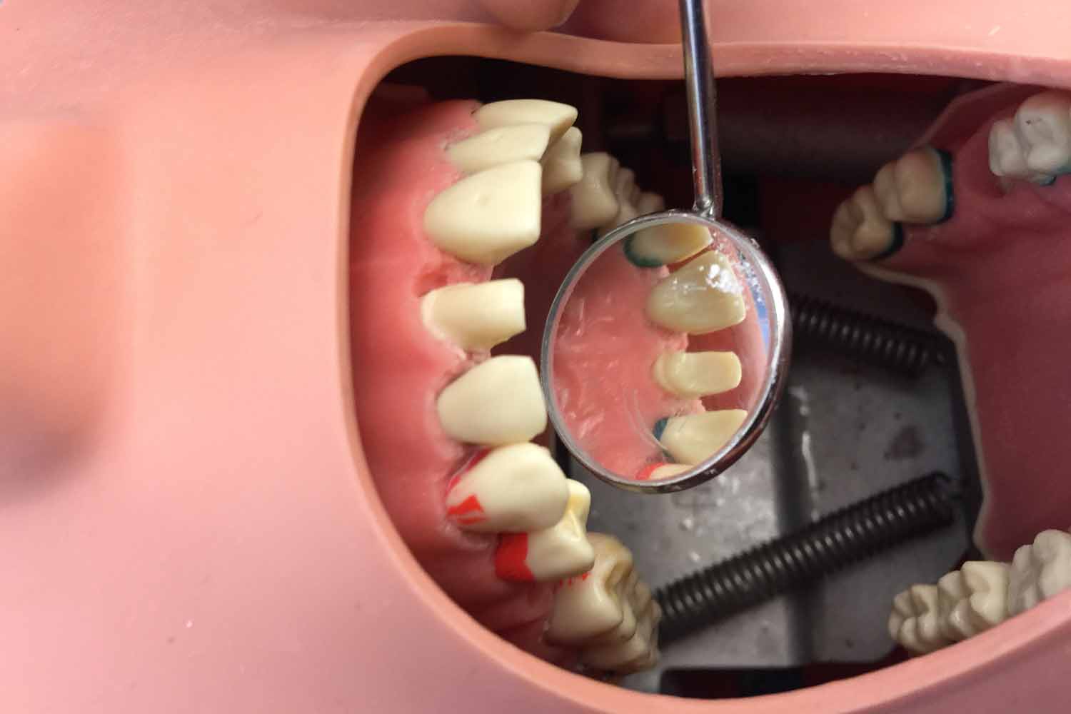 Prosthodontics